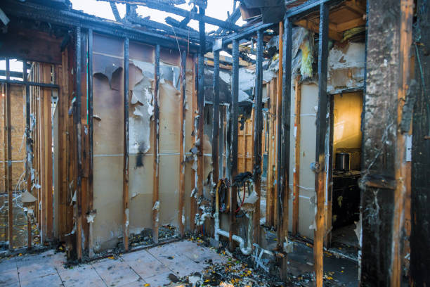 Professional Odor Removal technician working in Sloan, NY